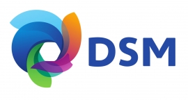 Bouwkundige werkzaamheden Gebouw 10 + 18 DSM